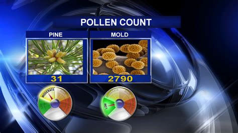 pollen forecast fort worth|More.